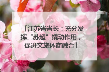 江苏省省长：充分发挥“苏超”撬动作用，促进文旅体商融合