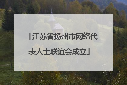 江苏省扬州市网络代表人士联谊会成立
