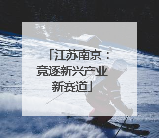 江苏南京：竞逐新兴产业新赛道