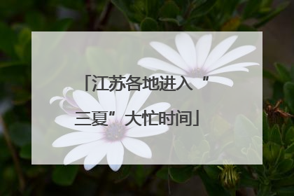 江苏各地进入“三夏”大忙时间