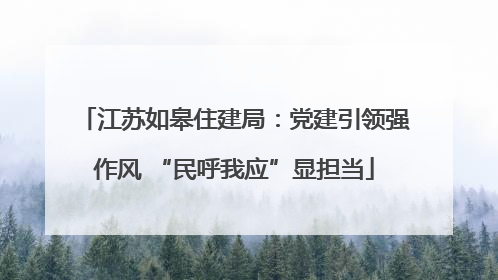 江苏如皋住建局：党建引领强作风 “民呼我应”显担当