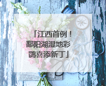 江西首例！鄱阳湖湿地彩鹮喜添新丁