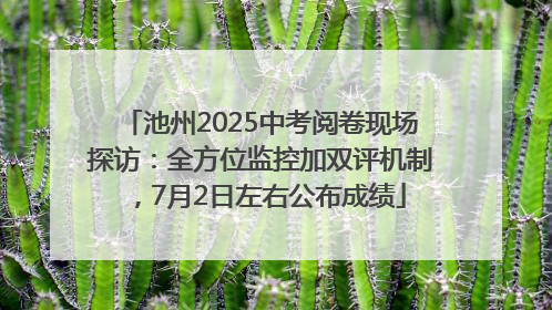 池州2025中考阅卷现场探访：全方位监控加双评机制，7月2日左右公布成绩
