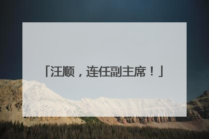 汪顺，连任副主席！