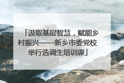 汲取基层智慧，赋能乡村振兴——新乡市委党校举行选调生培训课
