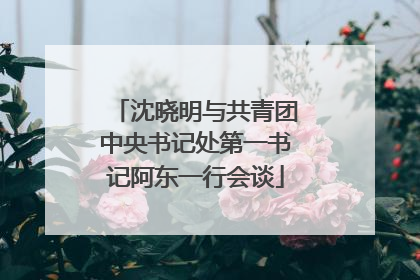 沈晓明与共青团中央书记处第一书记阿东一行会谈