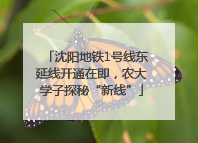 沈阳地铁1号线东延线开通在即，农大学子探秘“新线”