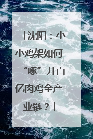 沈阳：小小鸡架如何“啄”开百亿肉鸡全产业链？
