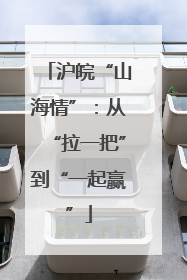 沪皖“山海情”：从“拉一把”到“一起赢”