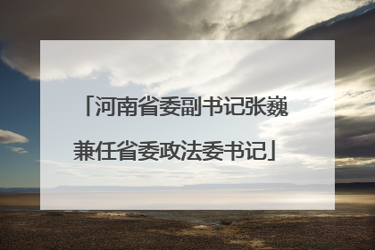 河南省委副书记张巍兼任省委政法委书记