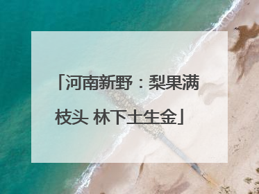 河南新野：梨果满枝头 林下土生金