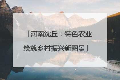 河南沈丘：特色农业绘就乡村振兴新图景