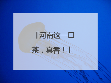 河南这一口茶，真香！