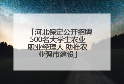 河北保定公开招聘500名大学生农业职业经理人 助推农业强市建设