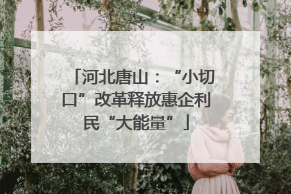 河北唐山：“小切口”改革释放惠企利民“大能量”