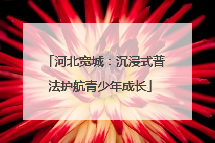 河北宽城：沉浸式普法护航青少年成长