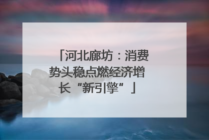 河北廊坊：消费势头稳点燃经济增长“新引擎”