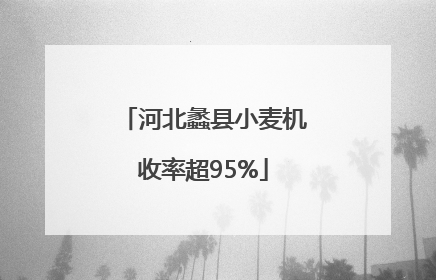 河北蠡县小麦机收率超95%