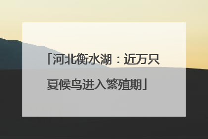 河北衡水湖：近万只夏候鸟进入繁殖期