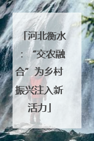 河北衡水：“交农融合”为乡村振兴注入新活力