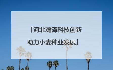河北鸡泽科技创新助力小麦种业发展