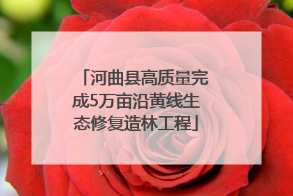 河曲县高质量完成5万亩沿黄线生态修复造林工程