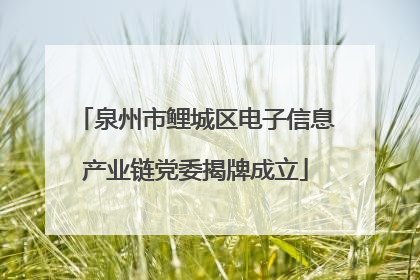 泉州市鲤城区电子信息产业链党委揭牌成立