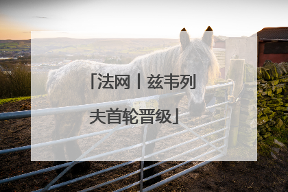 法网丨兹韦列夫首轮晋级