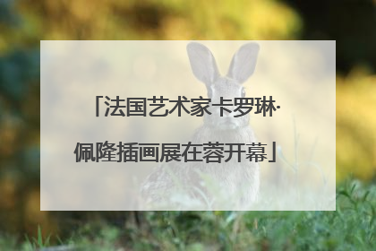 法国艺术家卡罗琳·佩隆插画展在蓉开幕