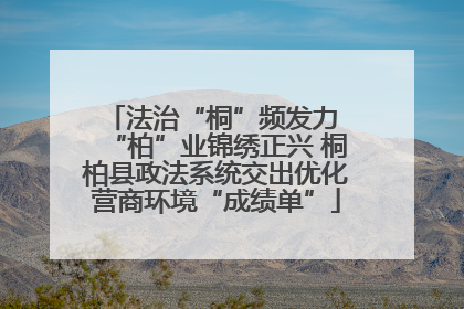 法治“桐”频发力 “柏”业锦绣正兴 桐柏县政法系统交出优化营商环境“成绩单”