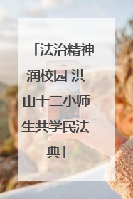 法治精神润校园 洪山十二小师生共学民法典