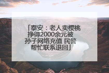 泰安：老人卖樱桃挣得2000余元被孙子网络充值 民警帮忙联系退回