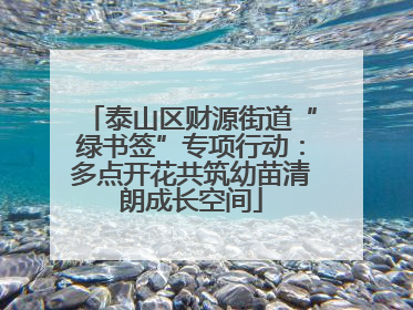 泰山区财源街道“绿书签”专项行动：多点开花共筑幼苗清朗成长空间