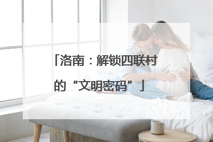 洛南：解锁四联村的“文明密码”