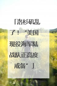 洛杉矶乱了！“美国现役海军陆战队正高度戒备”
