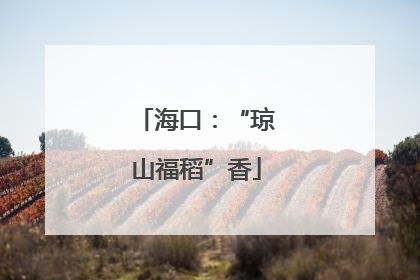 海口：“琼山福稻”香