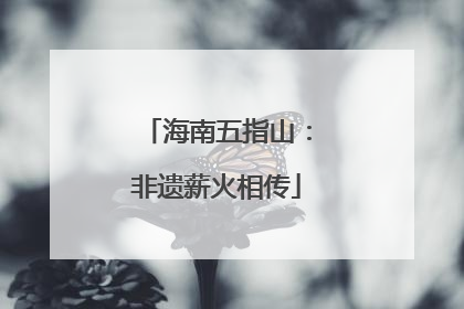 海南五指山：非遗薪火相传