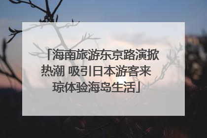 海南旅游东京路演掀热潮 吸引日本游客来琼体验海岛生活