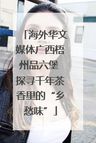 海外华文媒体广西梧州品六堡 探寻千年茶香里的“乡愁味”