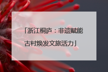 浙江桐庐：非遗赋能古村焕发文旅活力