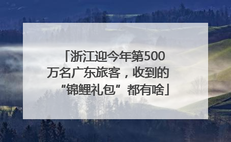 浙江迎今年第500万名广东旅客，收到的“锦鲤礼包”都有啥