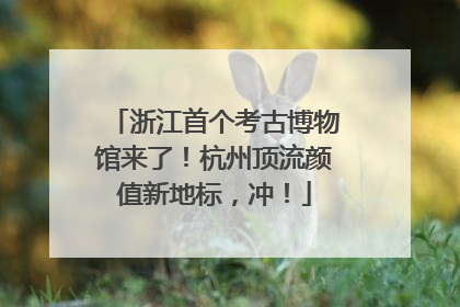 浙江首个考古博物馆来了！杭州顶流颜值新地标，冲！
