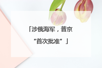 涉俄海军，普京“首次批准”