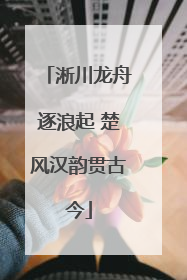 淅川龙舟逐浪起 楚风汉韵贯古今