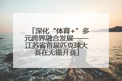 深化“体育+”多元跨界融合发展——江苏省首届匹克球大赛在无锡开赛