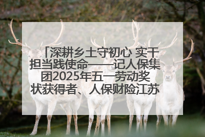 深耕乡土守初心 实干担当践使命——记人保集团2025年五一劳动奖状获得者、人保财险江苏南通海安支公司