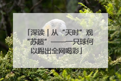 深读｜从“天时”观“苏超”——一只球何以踢出全网喝彩
