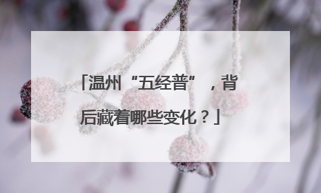 温州“五经普”，背后藏着哪些变化？
