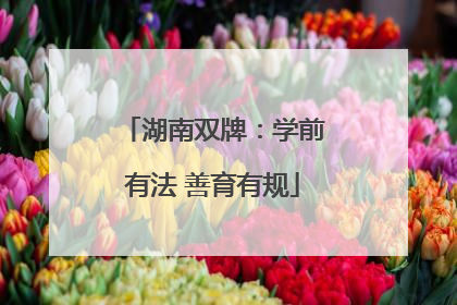 湖南双牌：学前有法 善育有规