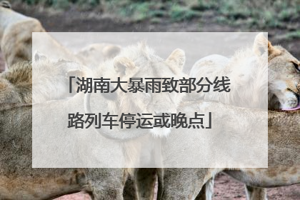 湖南大暴雨致部分线路列车停运或晚点